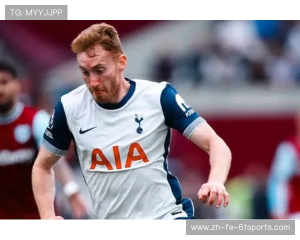 热刺队中韩国球员在英超的表现和贡献分析