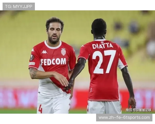 法甲赛事相关财务报告与经济效益分析 法甲赛事相关财务报告与经济效益分析