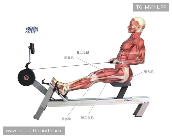 健身器材运动原理与实际锻炼效果分析